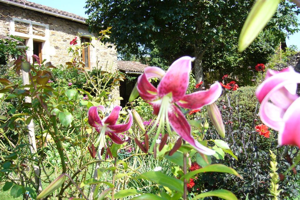 Maison D'Hotes Hameau De Taur Hotel Villefranche-d'Albigeois ภายนอก รูปภาพ